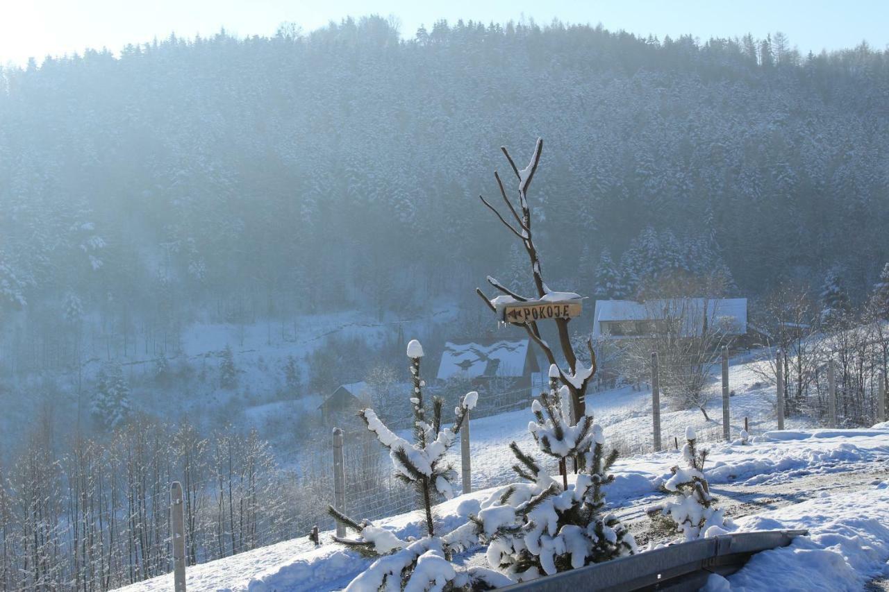 Nad Zalewem Villa Jaszczurowa Dış mekan fotoğraf