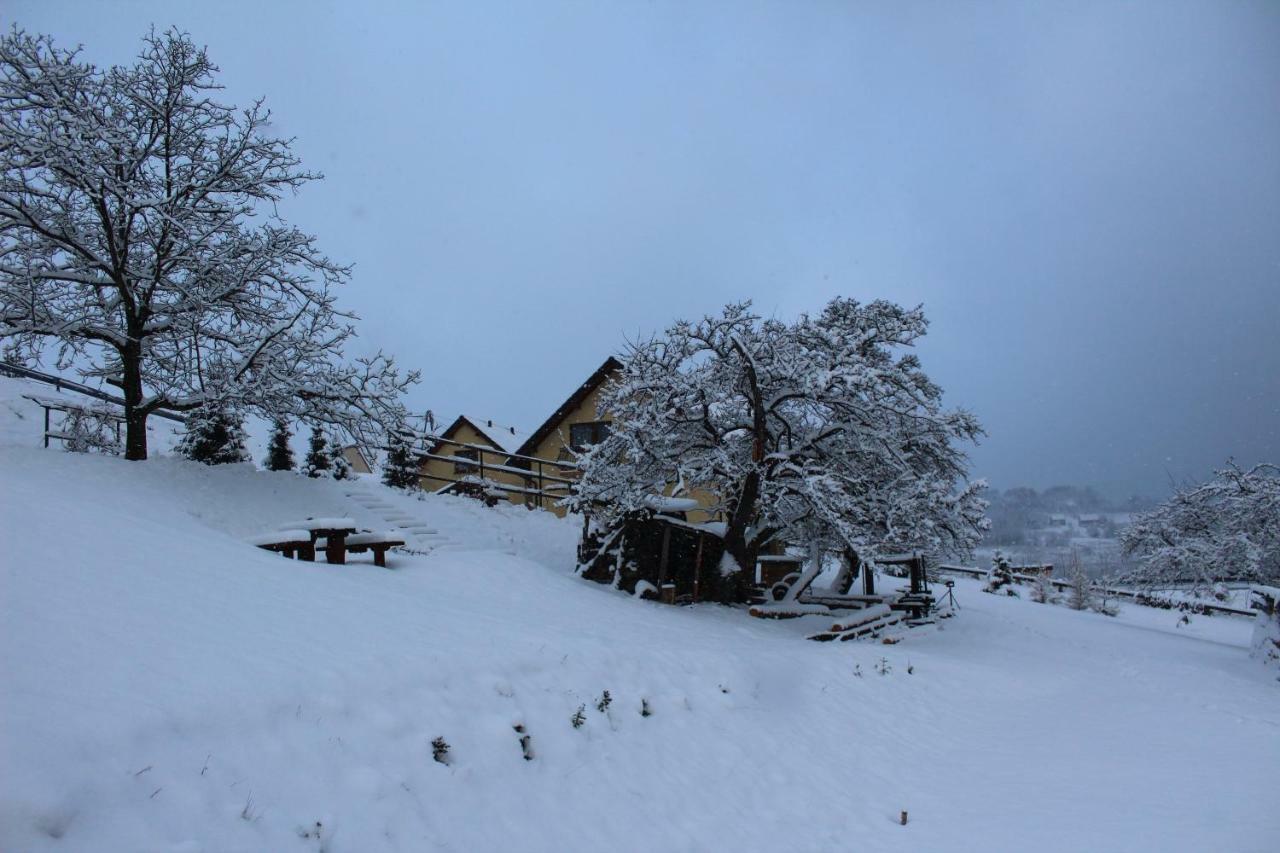 Nad Zalewem Villa Jaszczurowa Dış mekan fotoğraf