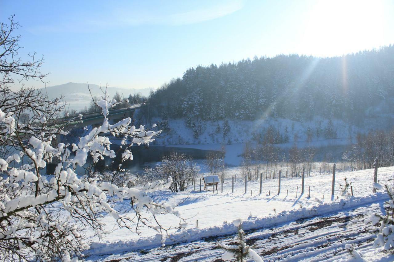 Nad Zalewem Villa Jaszczurowa Dış mekan fotoğraf
