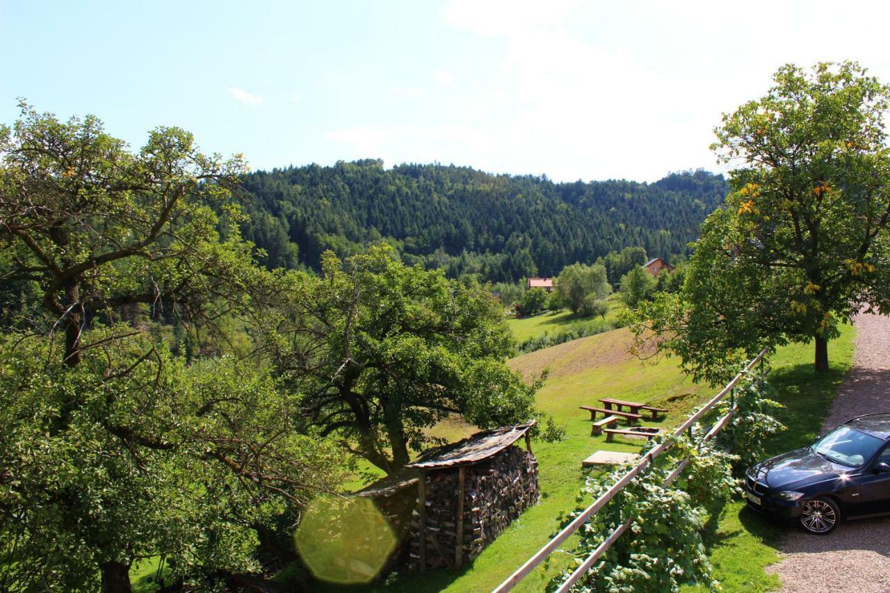 Nad Zalewem Villa Jaszczurowa Dış mekan fotoğraf